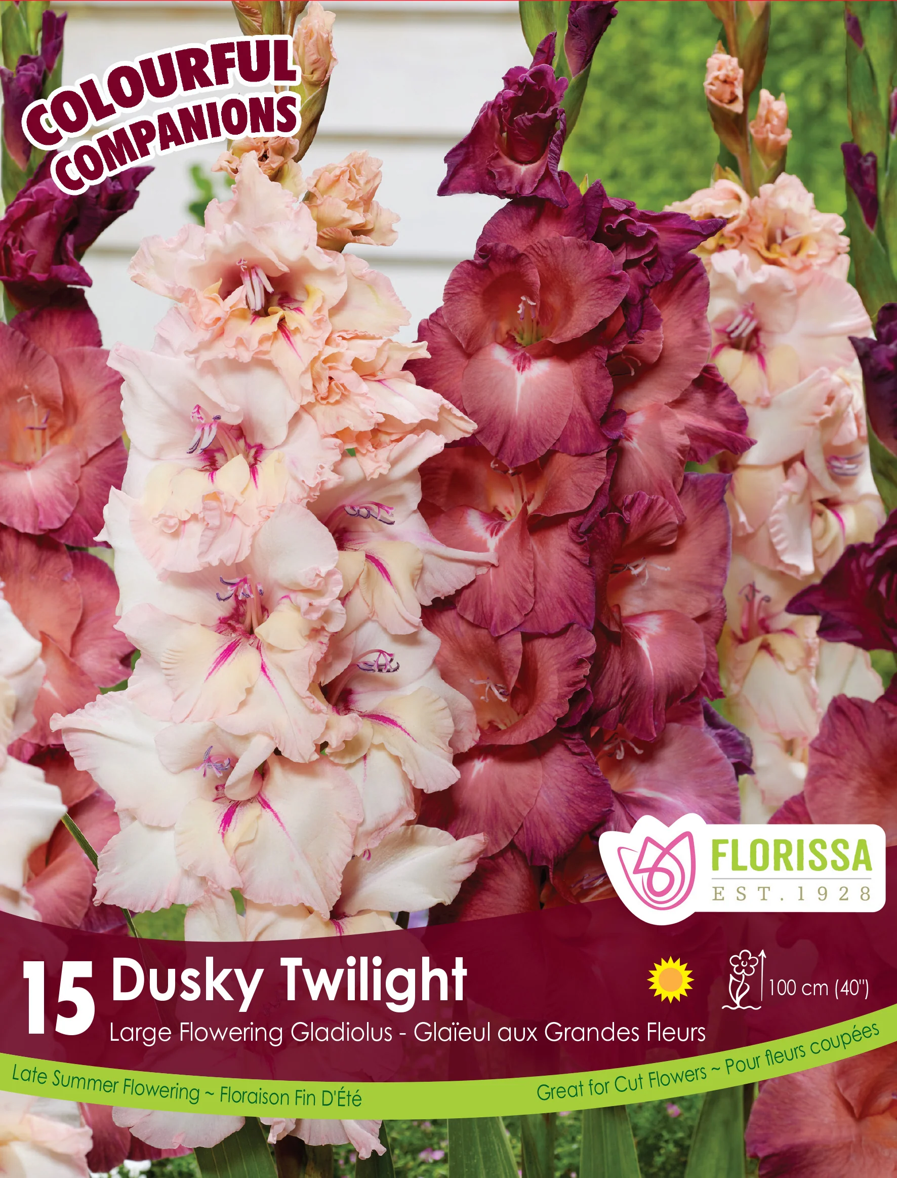 Harmonie 'Dusky Twilight'