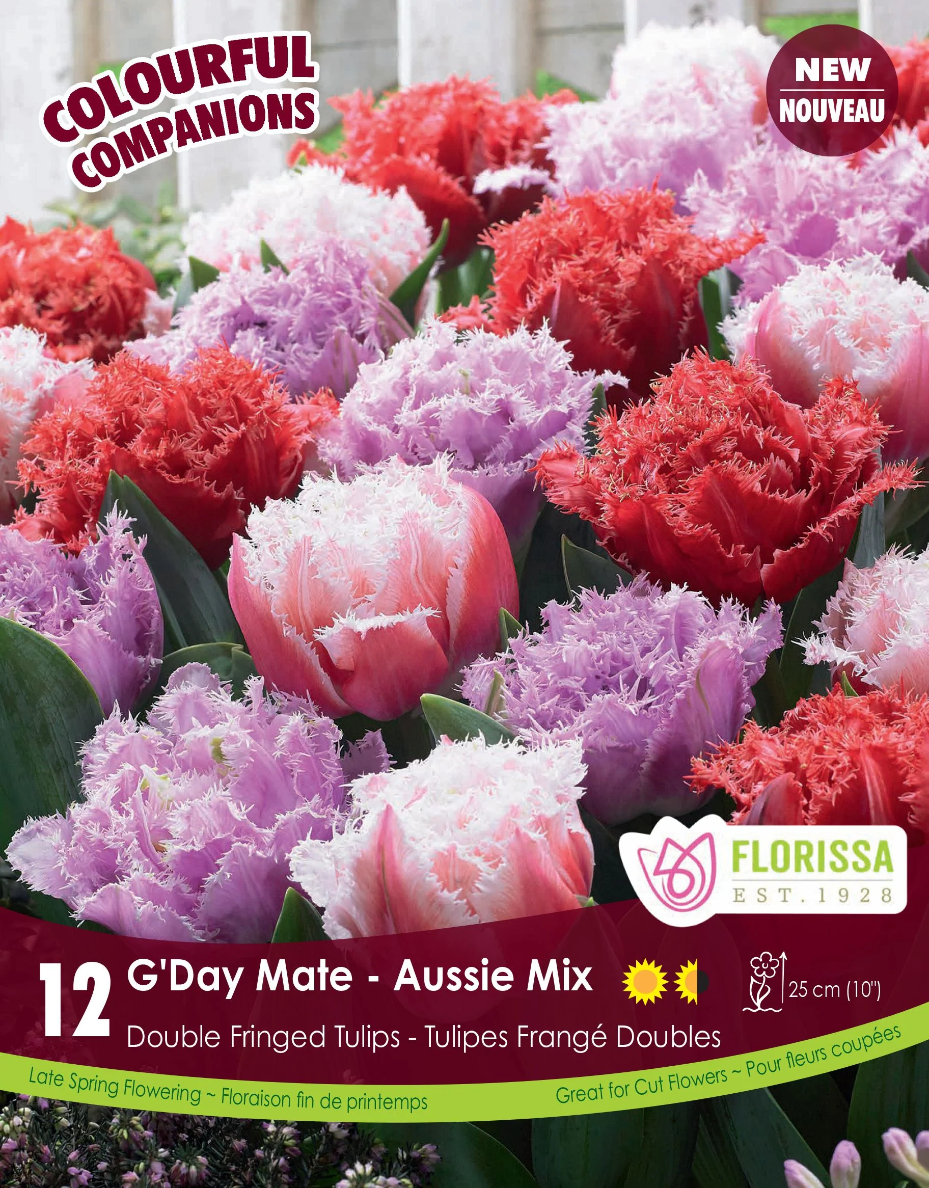 Harmonie Florale â G'Day Mate