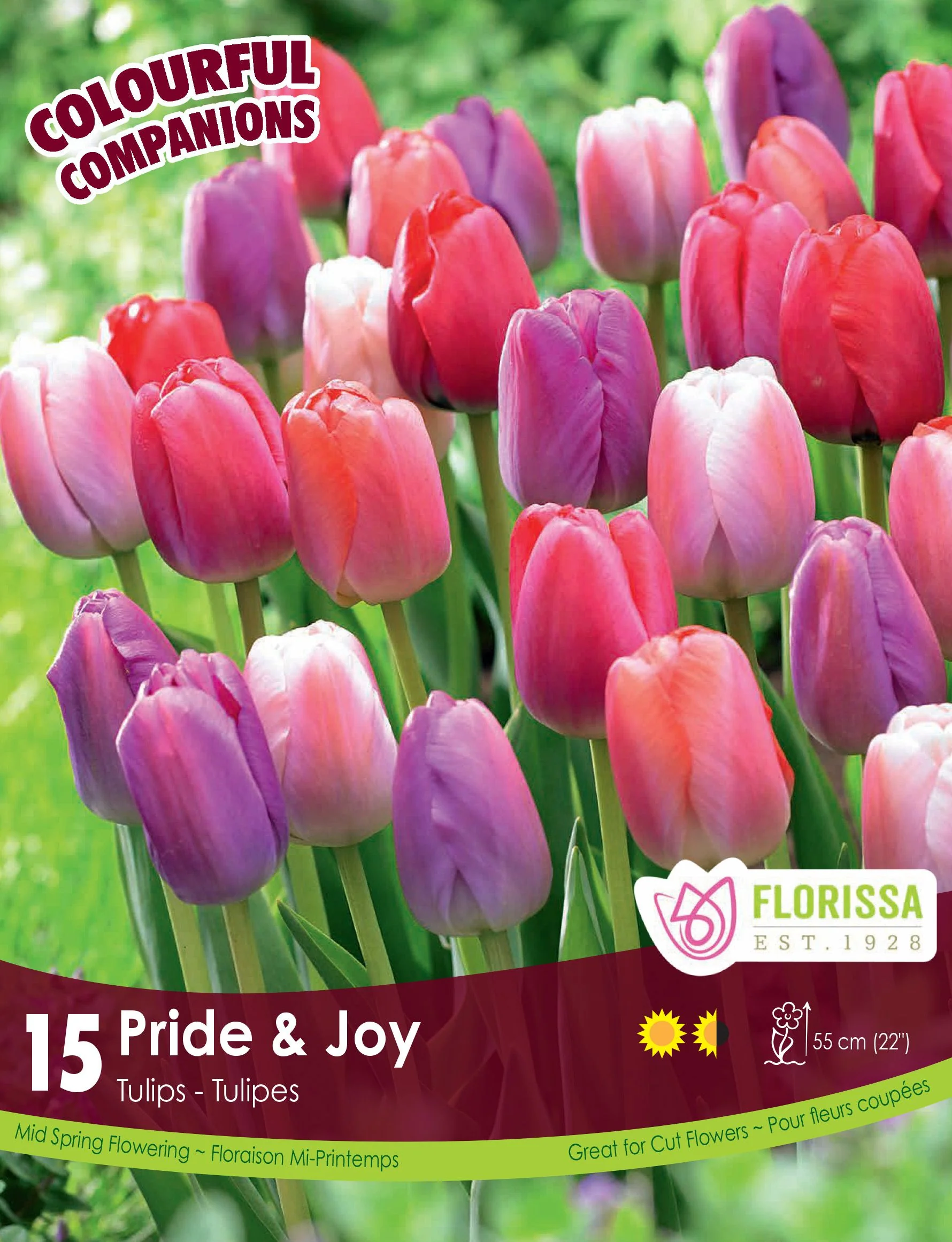 Harmonie Florale – Pride & Joy
