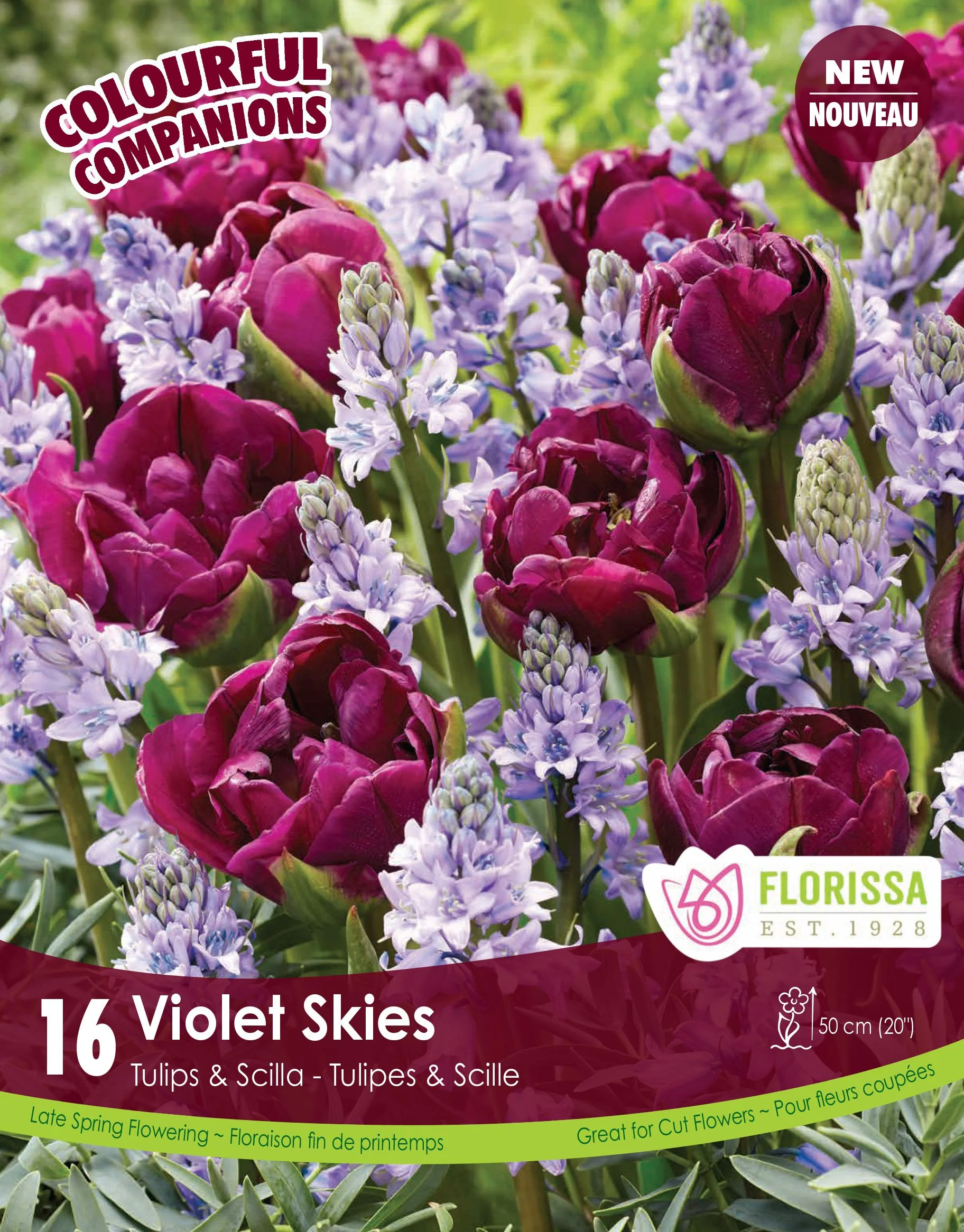 Harmonie Florale â Violet Skies