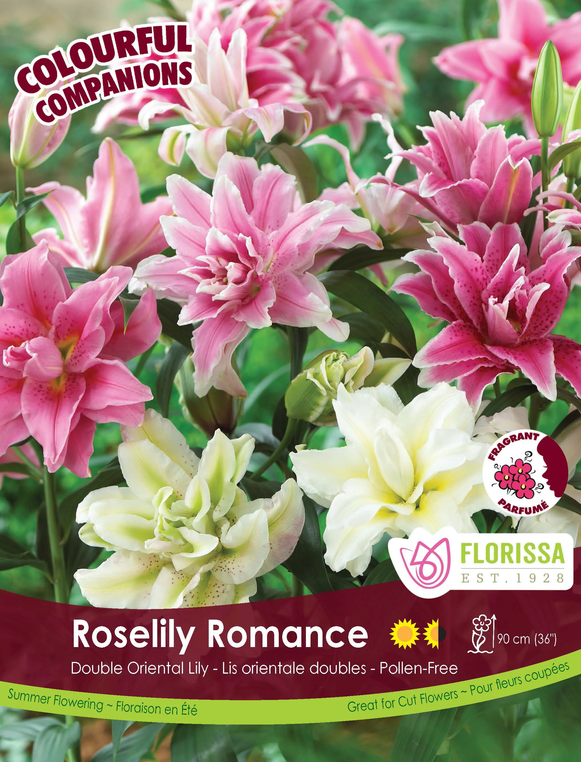 Harmonie 'Roselily Romance Mix'