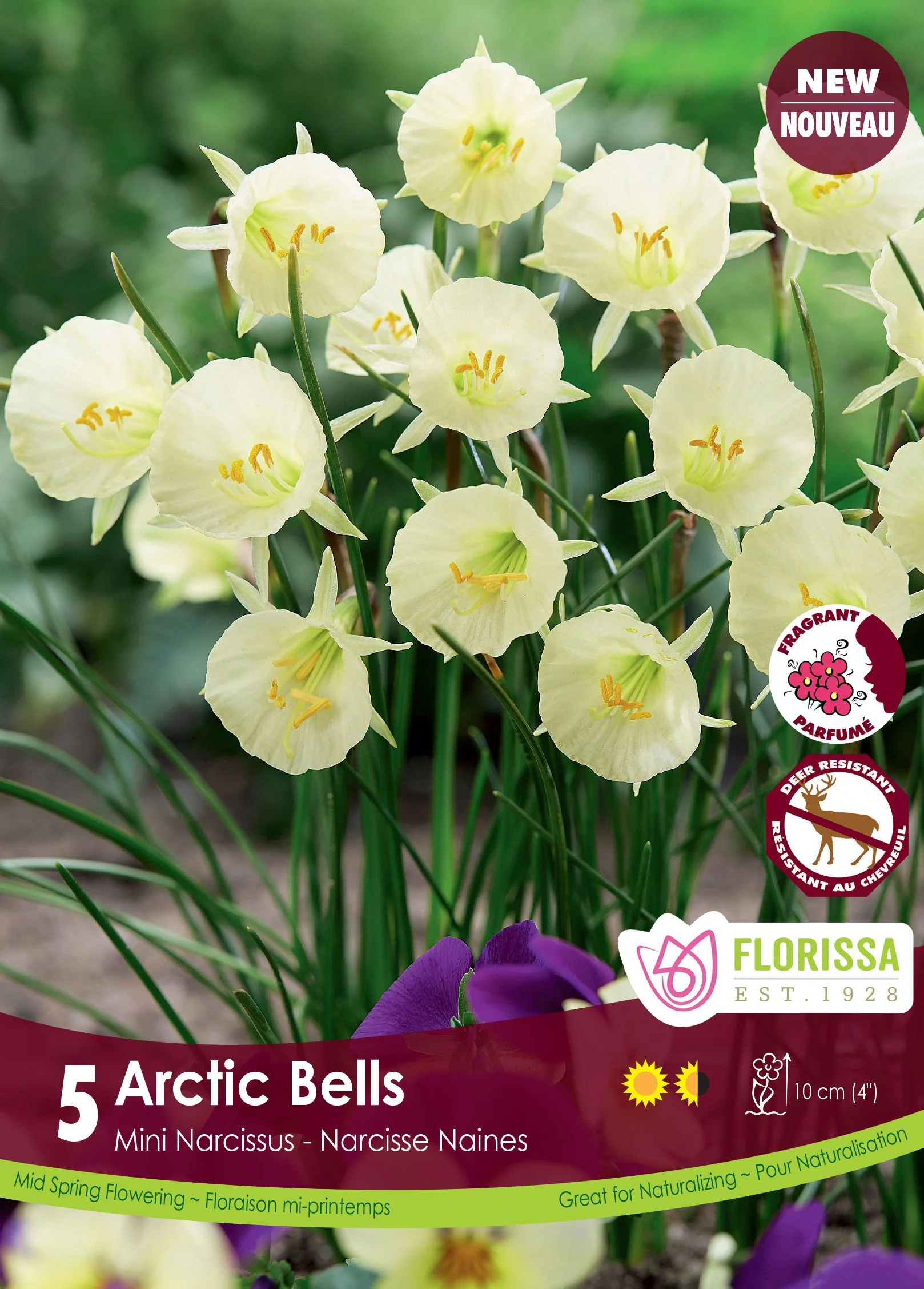 Narcisse Arctic Bells