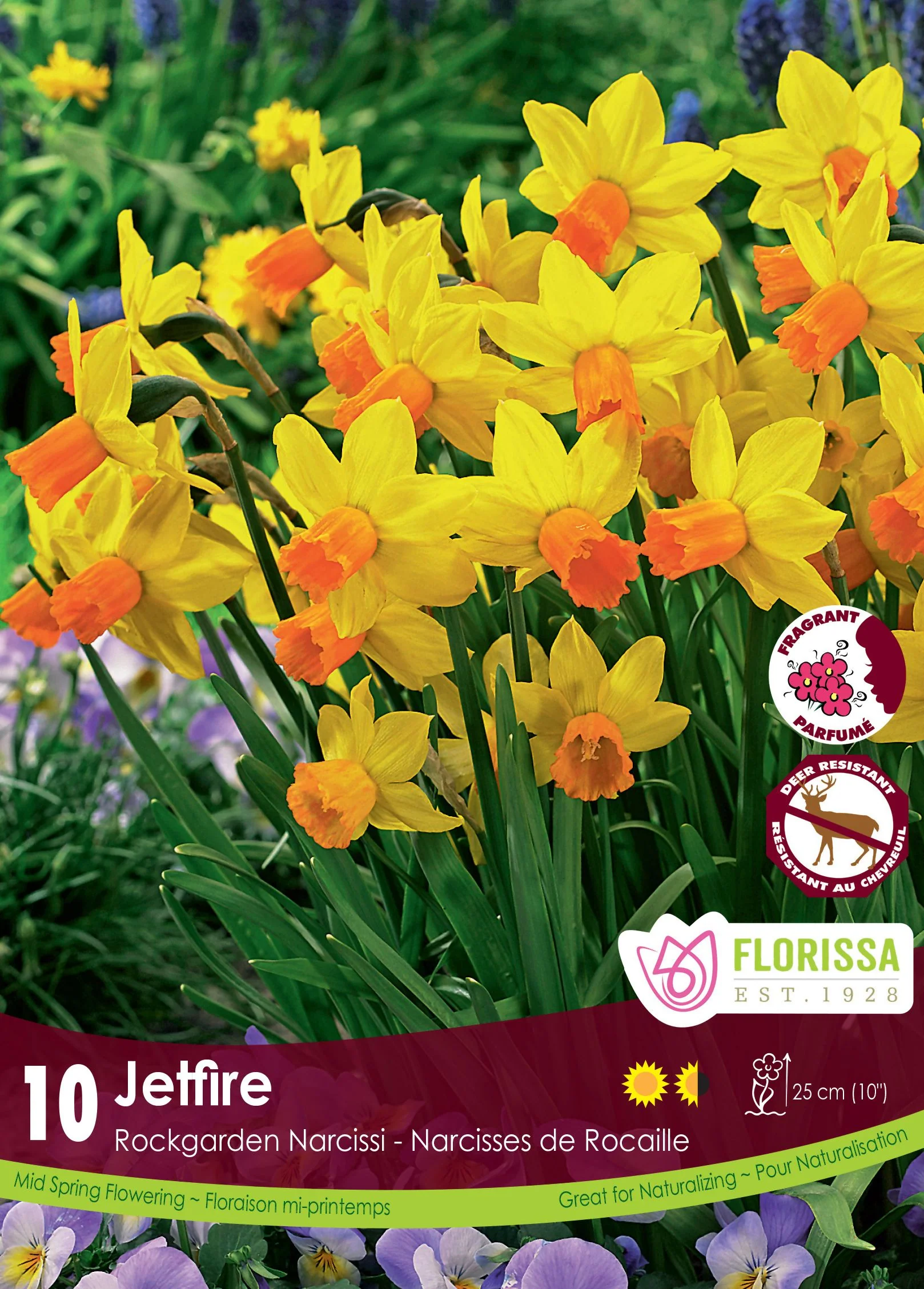Narcisse Jetfire