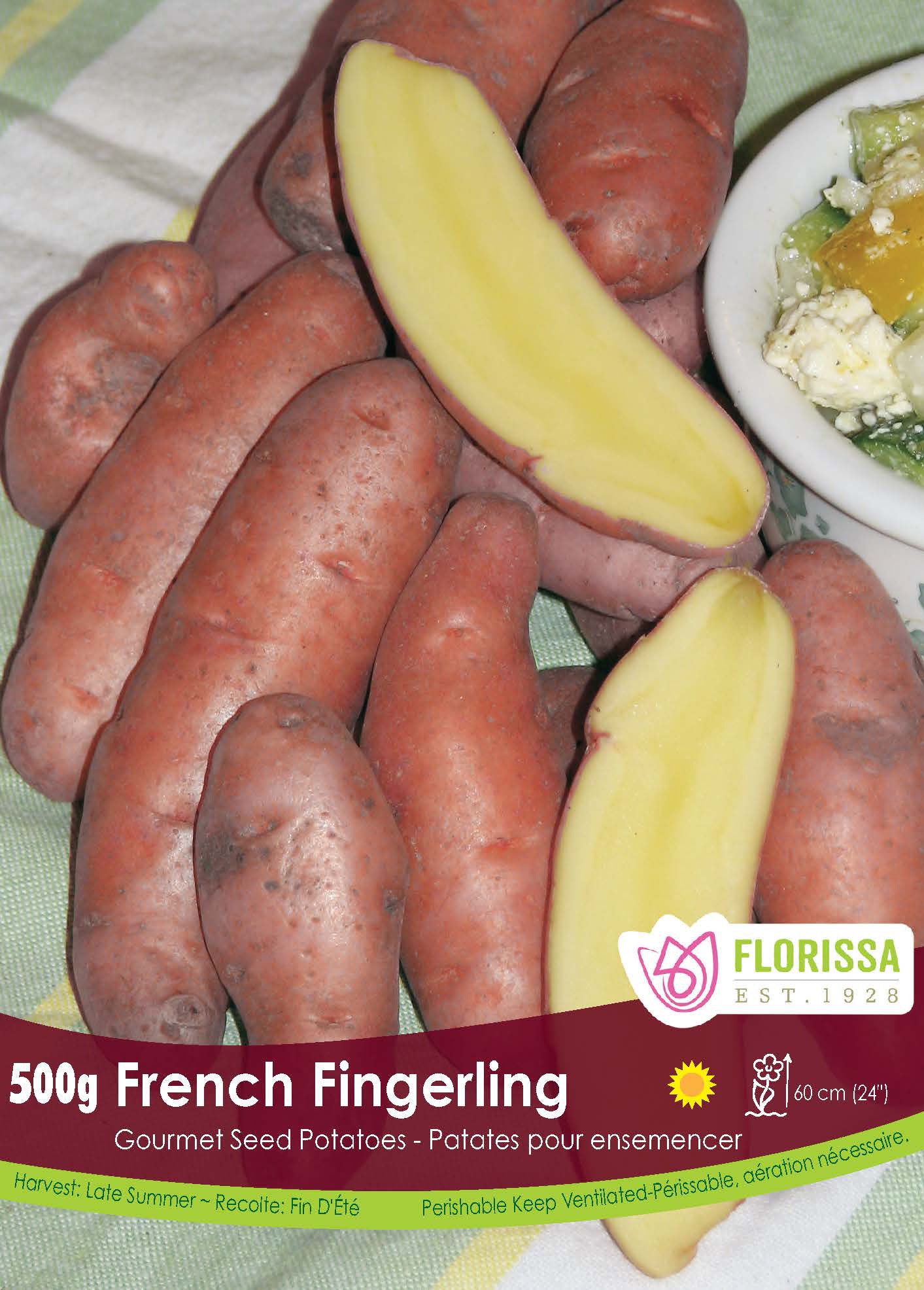 Pomme de terre 'Bellanita Fingerling'