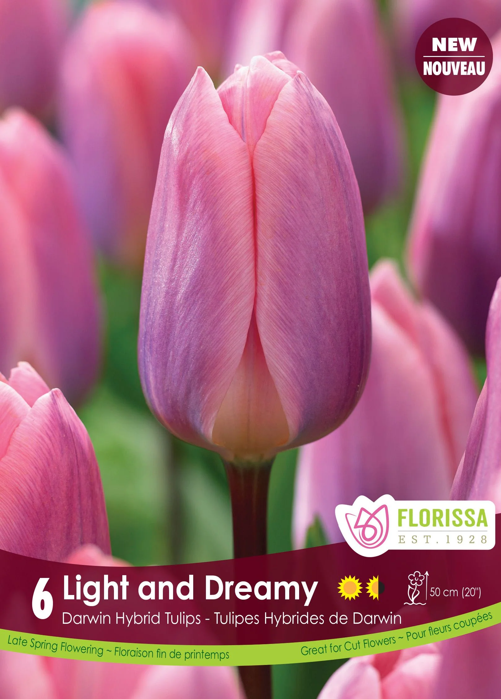 Tulipe Light and Dreamy