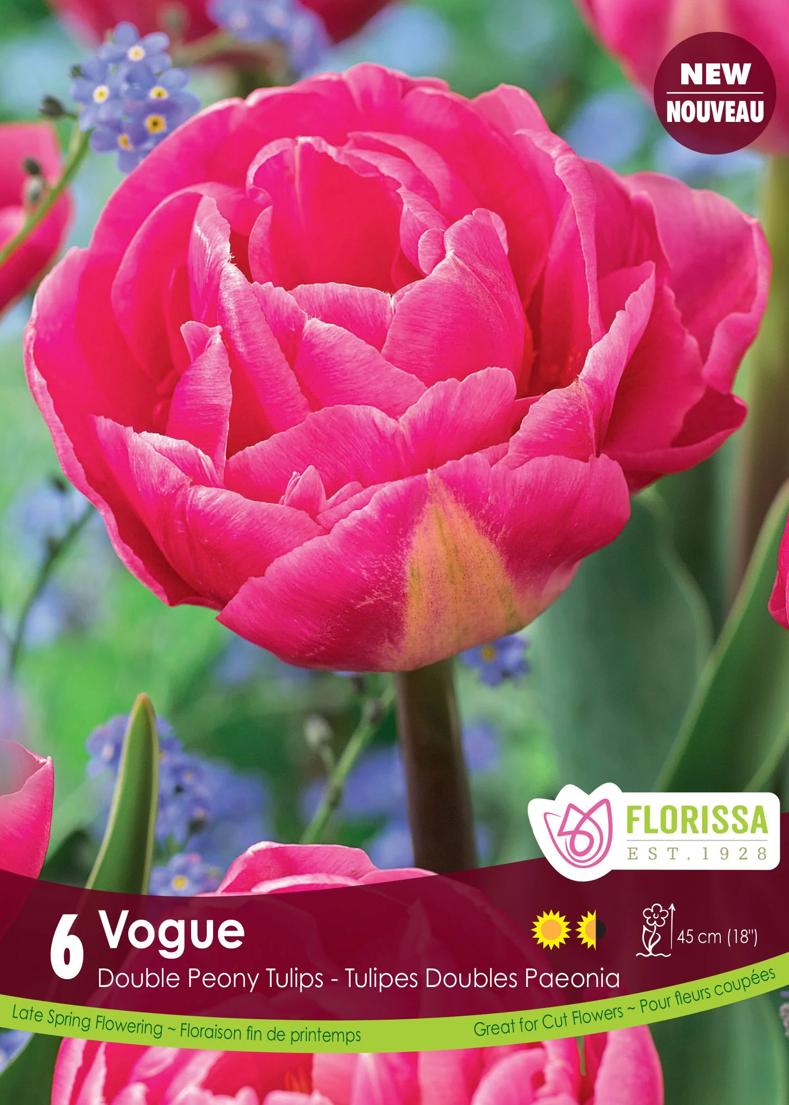 Tulipe Vogue
