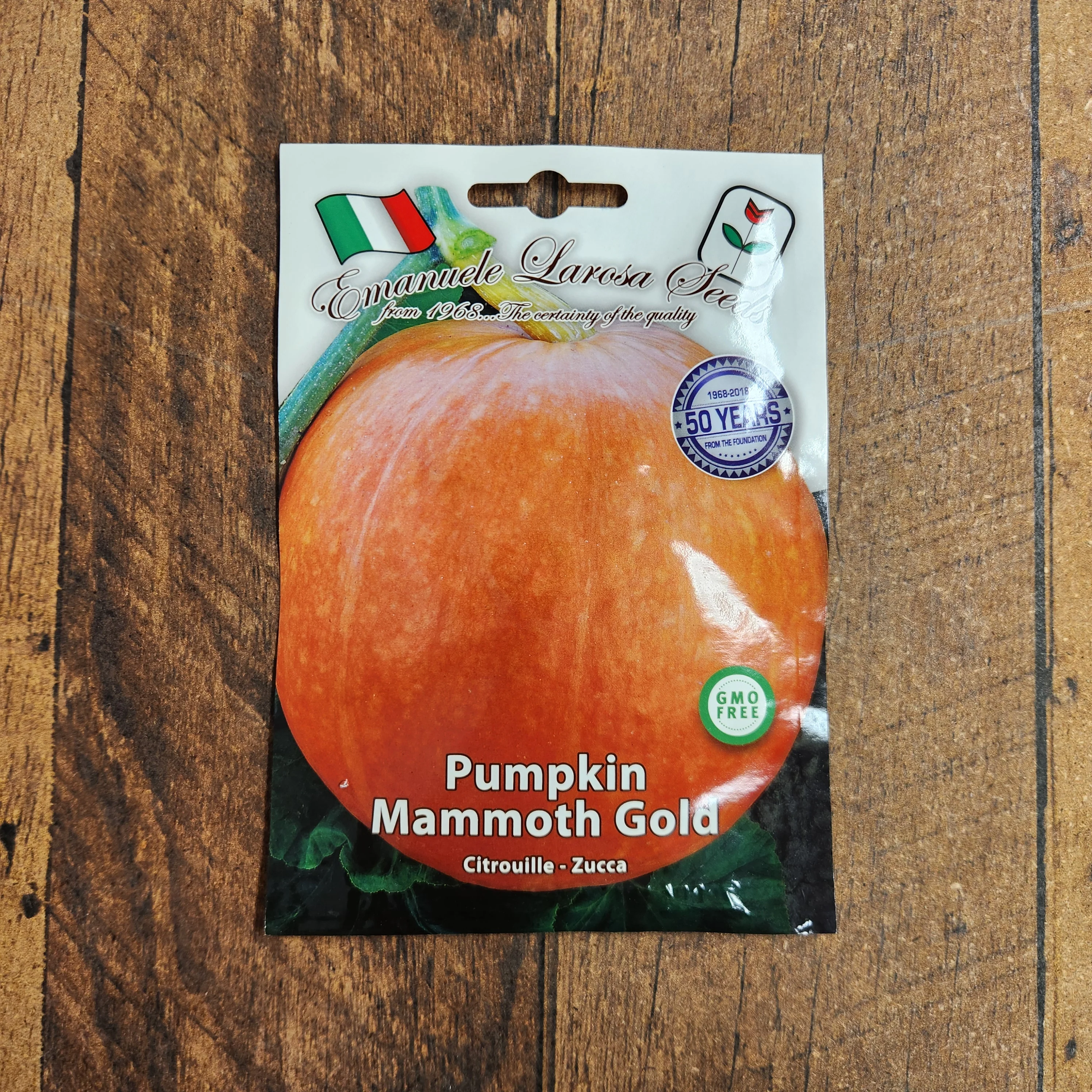 Citrouille 'Mammoth Gold'