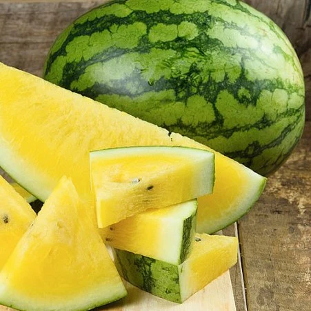 Melon d'eau 'Yellow Baby'